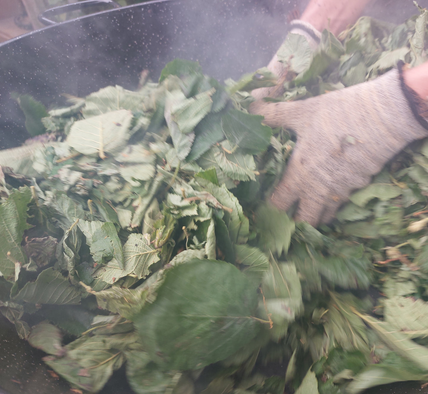 
                  
                    VERT façon Sencha I tonique et végétal
                  
                