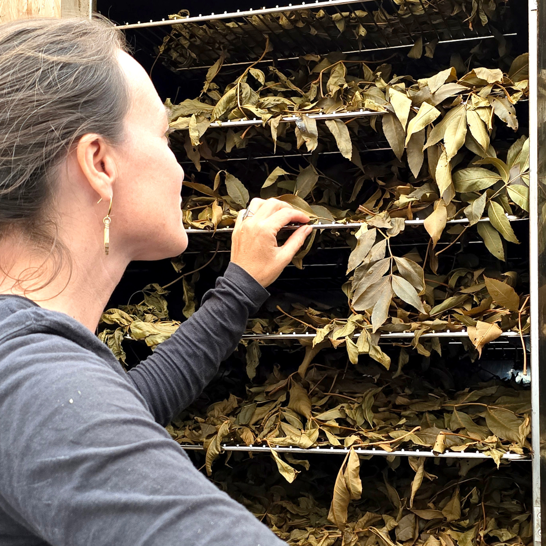 
                  
                    FUMÉ fort et tourbeux
                  
                