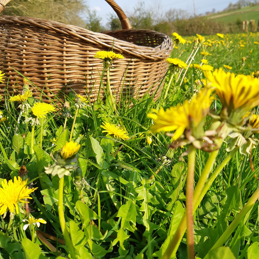 
                  
                    BLANC aérien et floral
                  
                