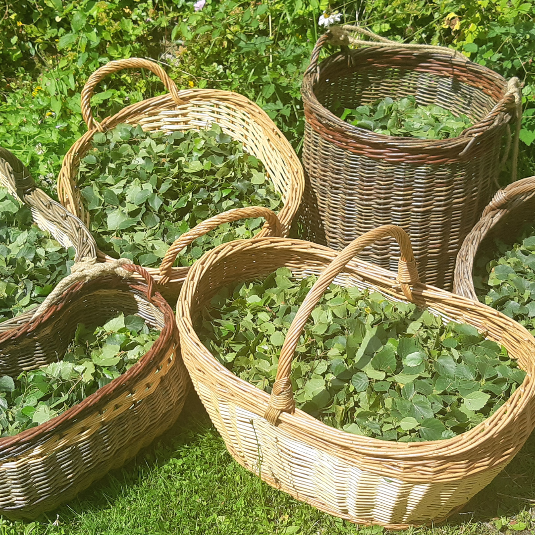 
                  
                    EMERAUDE façon oolong I minéral et subtil
                  
                