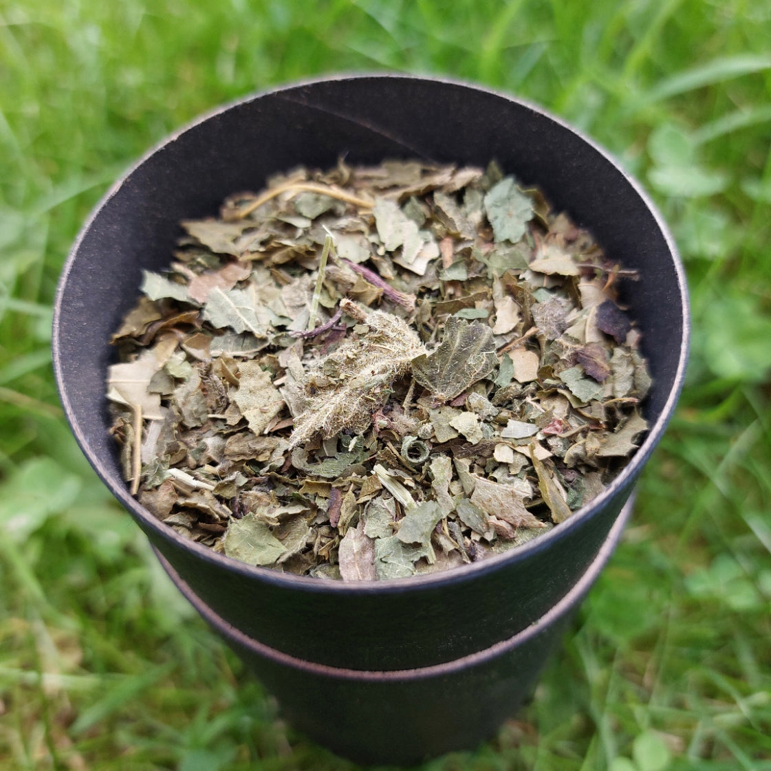 
                  
                    VERT I tonique et végétal
                  
                