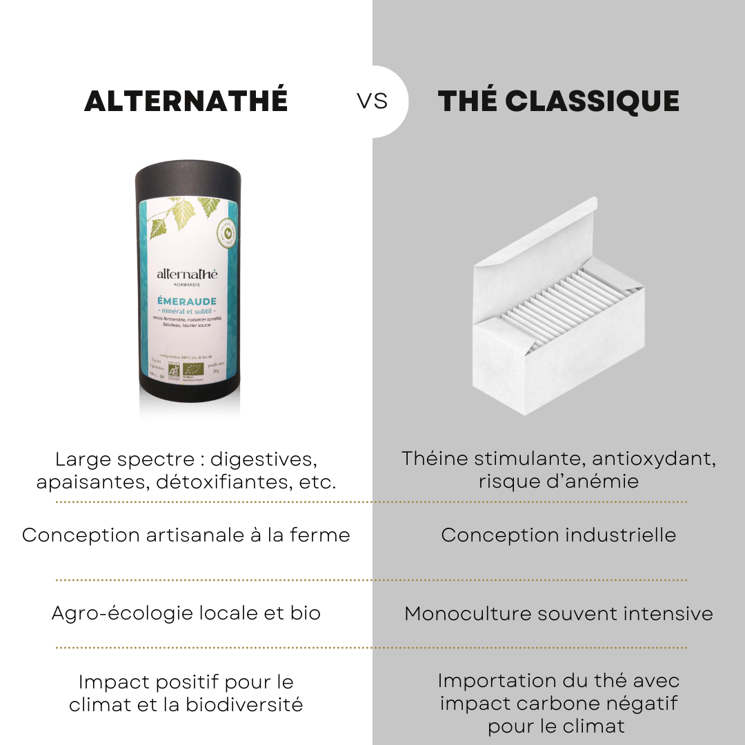 
                  
                    EMERAUDE I minéral et subtil
                  
                