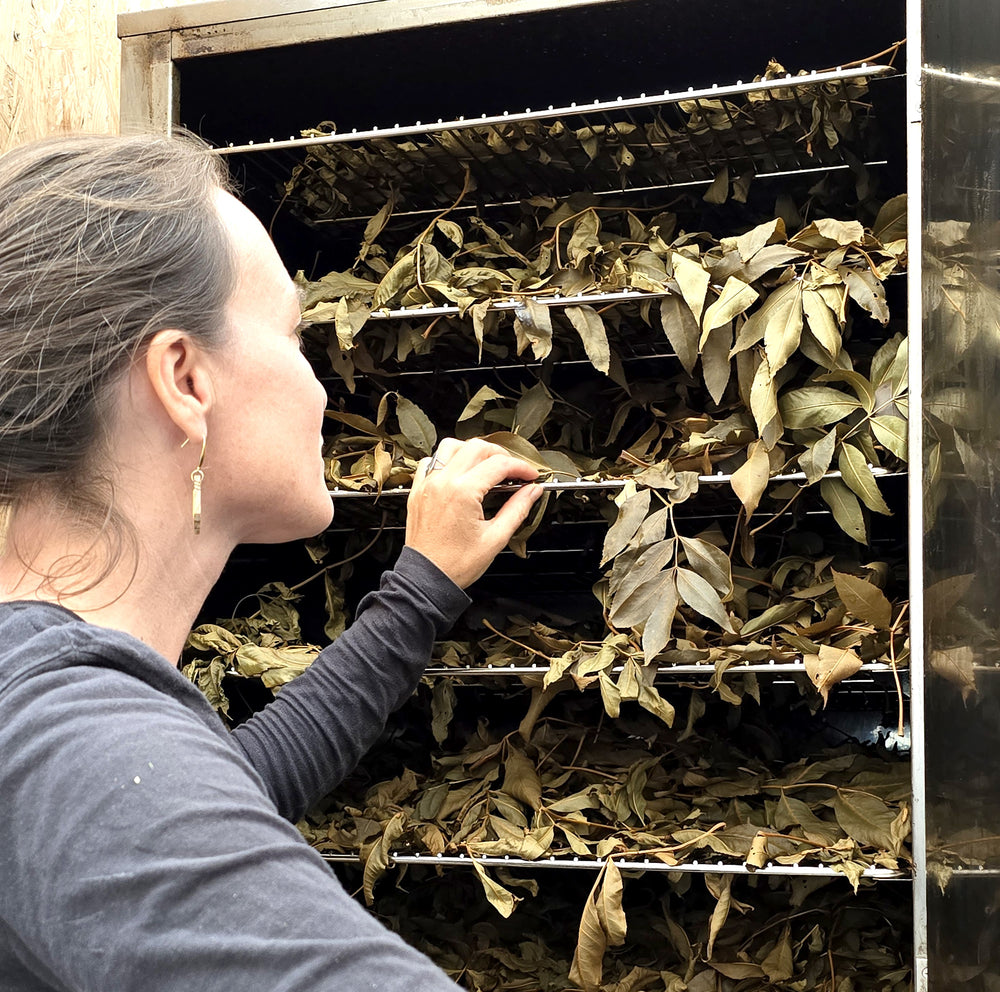 
                  
                    FUME I fort et tourbeux
                  
                