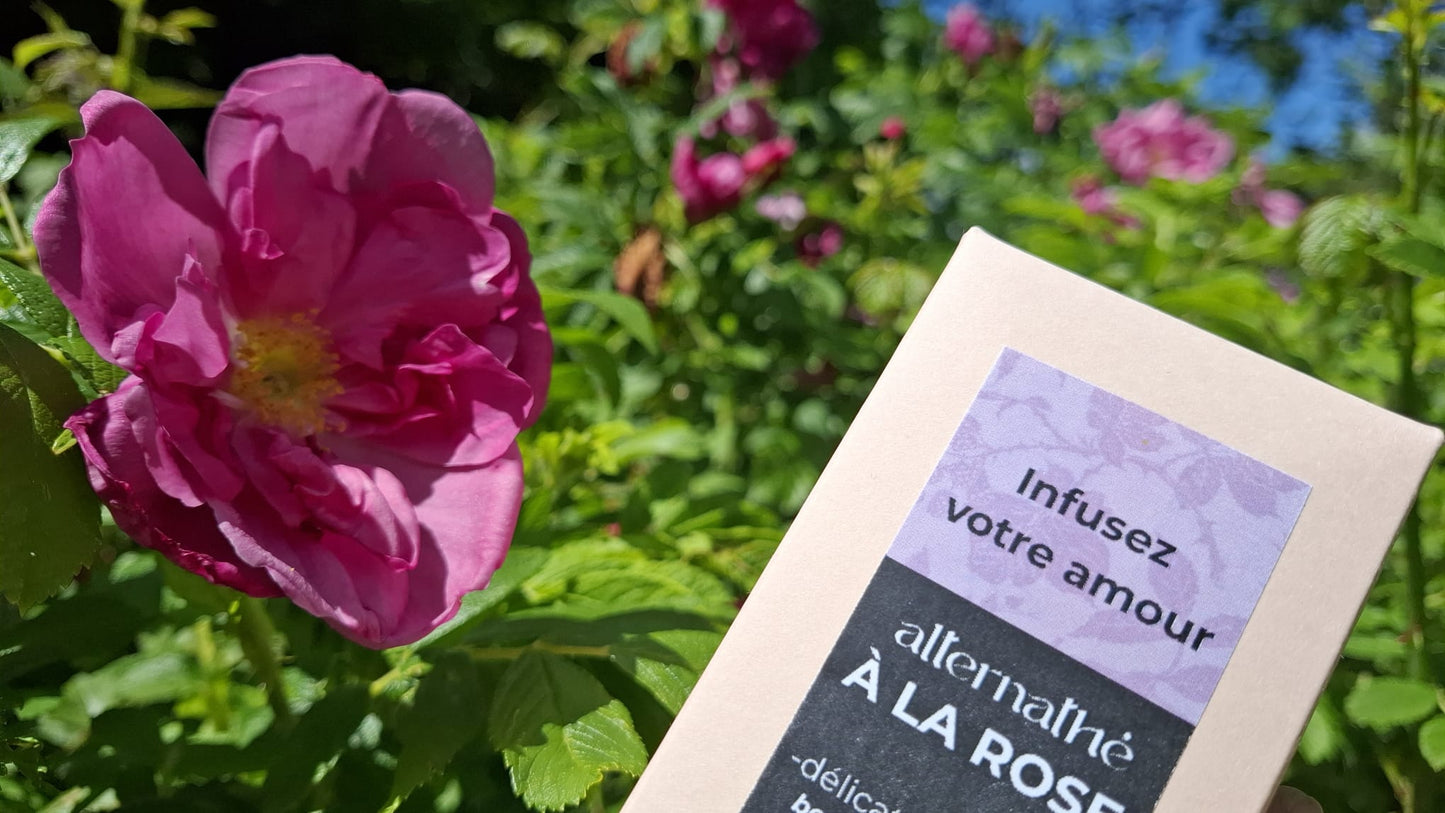
                  
                    ETUI A LA ROSE - avec fleur de ronce
                  
                