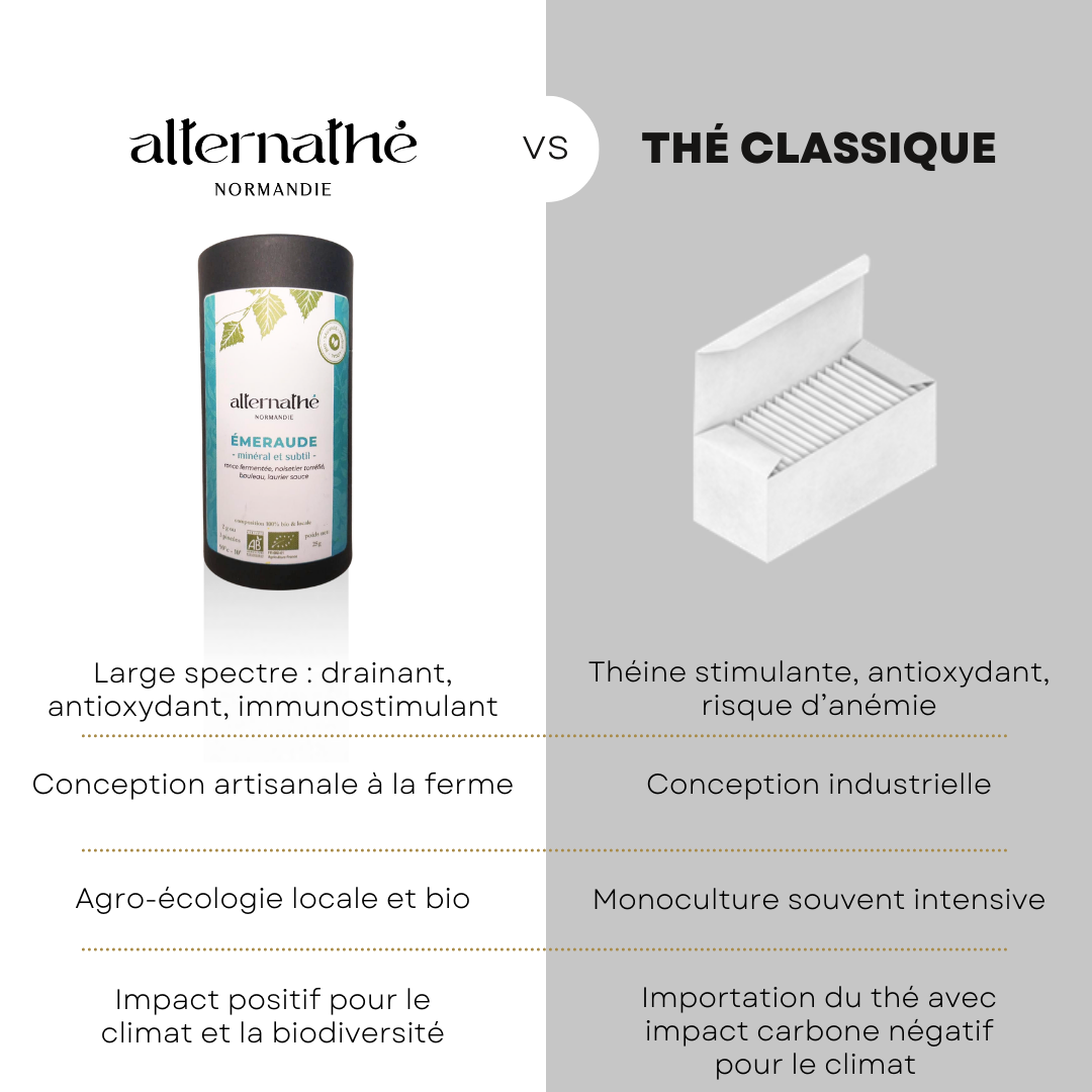 
                  
                    EMERAUDE I minéral et subtil
                  
                