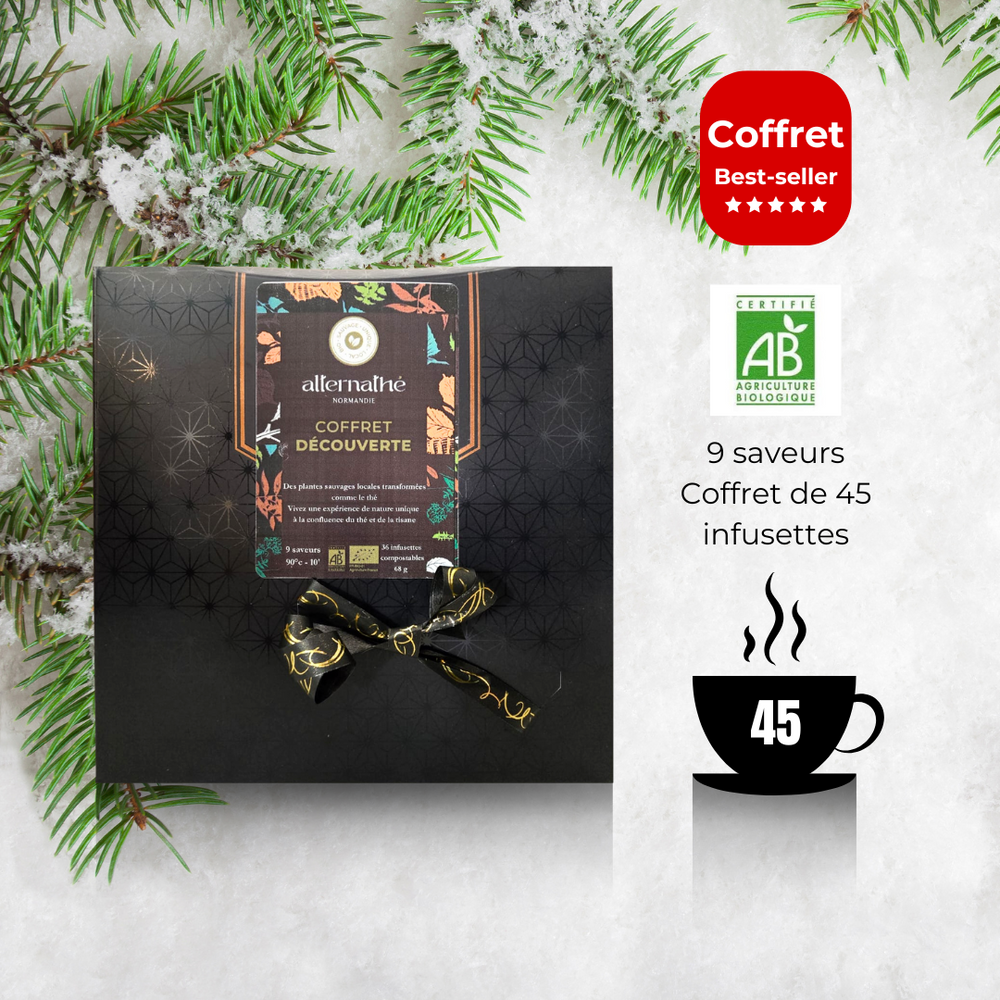 COFFRET CADEAU - 9 SAVEURS, 45 INFUSETTES