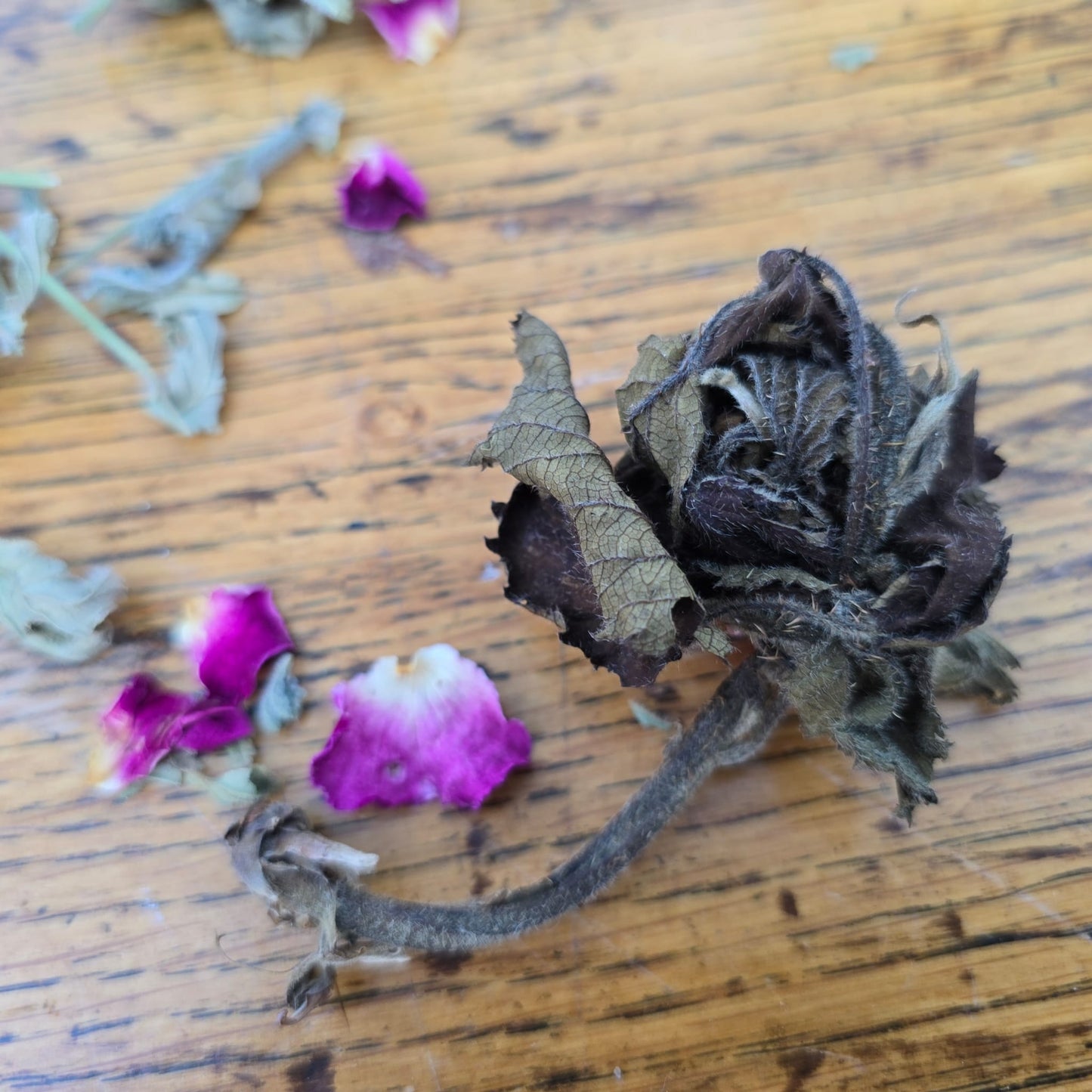 
                  
                    ETUI A LA ROSE - avec fleur de ronce
                  
                